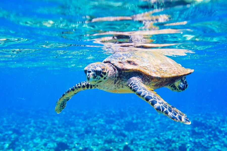 ISO14001シリーズの目的